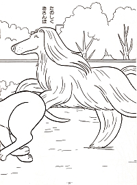 Funky_dog_Bow_18.jpg