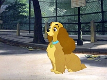 Lady_and_the_Tramp_cels_041.jpg