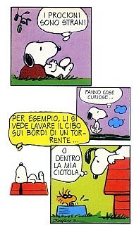 Snoopy's_story_fumetti096.jpg