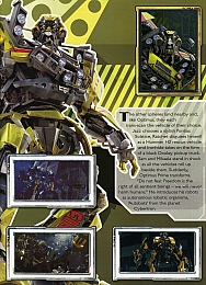 Transformers_album_figurine_021.jpg