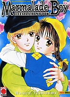 Anime_cover_books4.jpg