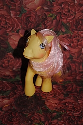 My_little_pony_collection_008.jpg