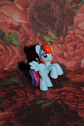 My_little_pony_collection_019.jpg