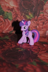 My_little_pony_collection_022.jpg