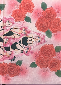 Sailor_Moon_artbook3_051.jpg