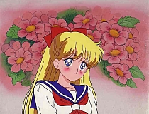 Sailor_Moon_cels_050.jpg