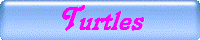 Turtles