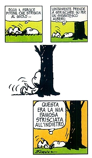 Snoopy's_story_fumetti115.jpg