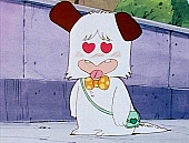 Hello_Spank_DVD_332.jpg