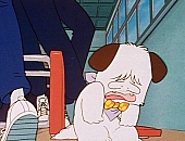 Hello_Spank_DVD_341.jpg