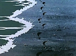Lupin_japan_serie2_ending3_03.jpg
