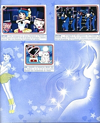 Emi_Album_figurine_Panini_33.jpg