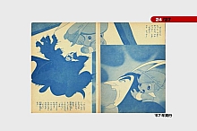 Ribbon_no_kishi_booklet_02_024.jpg