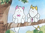 Sandy_dai_mille_colori_DVD_01.jpg