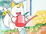 Sandy_dai_mille_colori_DVD_130.jpg