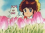 Sandy_dai_mille_colori_DVD_199.jpg